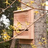 Bat House Large - Anytime Garden©
