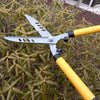 Telescopic Shears 56cm - Anytime Garden©